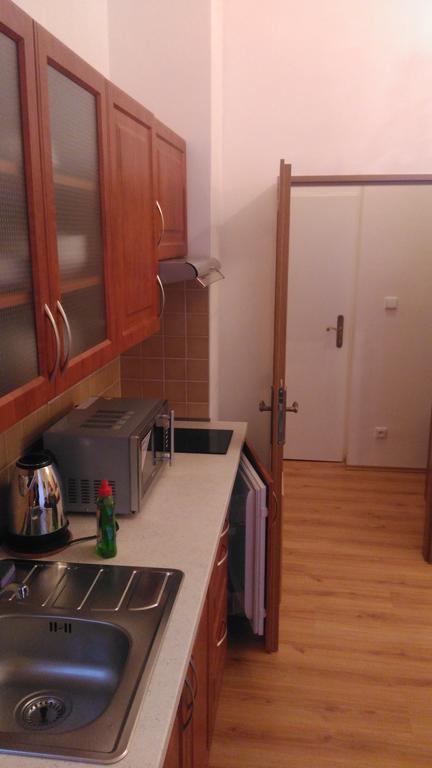 Apartments Paderewski Karlowe Wary Zewnętrze zdjęcie